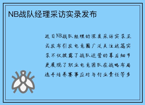 NB战队经理采访实录发布