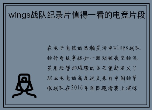 wings战队纪录片值得一看的电竞片段