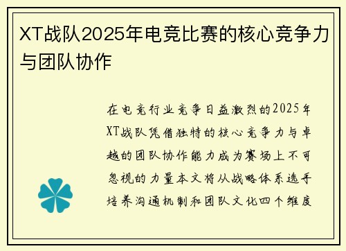 XT战队2025年电竞比赛的核心竞争力与团队协作